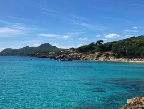 Mallorca: Ein Bild mit Wasser, Bäumen und Bergen im Hintergrund.