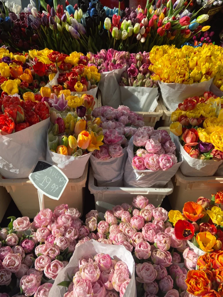 Amsterdam: Bloemenmarkt