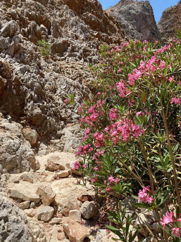 Seitan Limania: Weg zum Strand