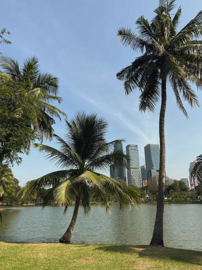 Der wunderschöne Lumphini Park mit Aussicht auf die vielen Hochhäuser