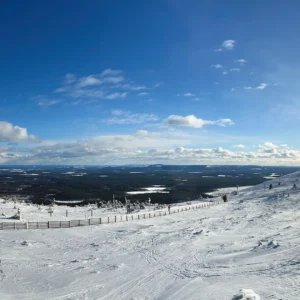 Ein schneebedeckter Berg mit Zäunen und Bäumen.