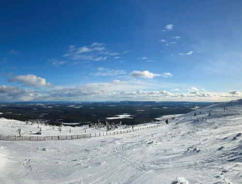 Ein schneebedeckter Berg mit Zäunen und Bäumen.