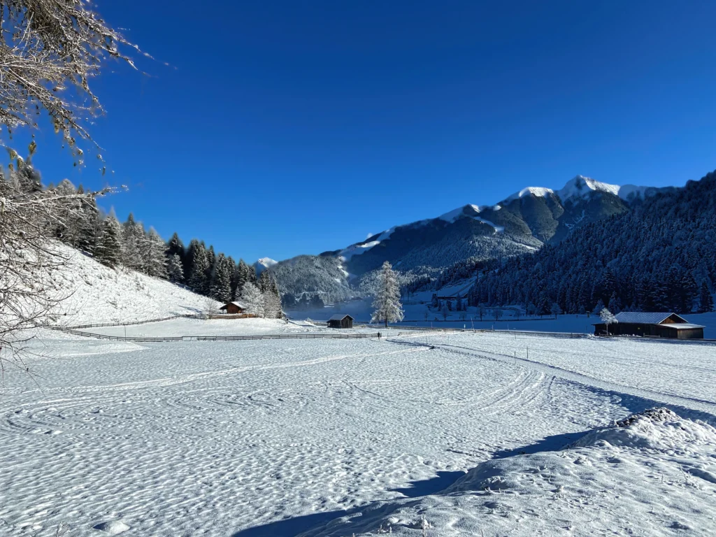 Winterwanderung Seefeld: Schneelandschaft
